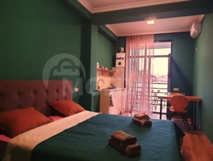Short Term Rentals one-room 32m² 2/7 floor Kutaisi - photo 1