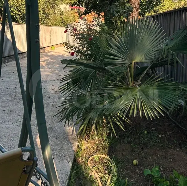 House for rent 300м² Kutaisi - photo 9