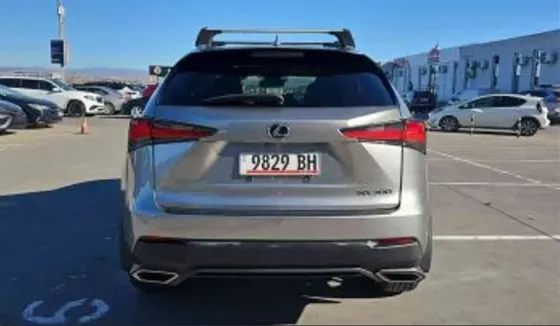 Lexus NX 2019 თბილისი