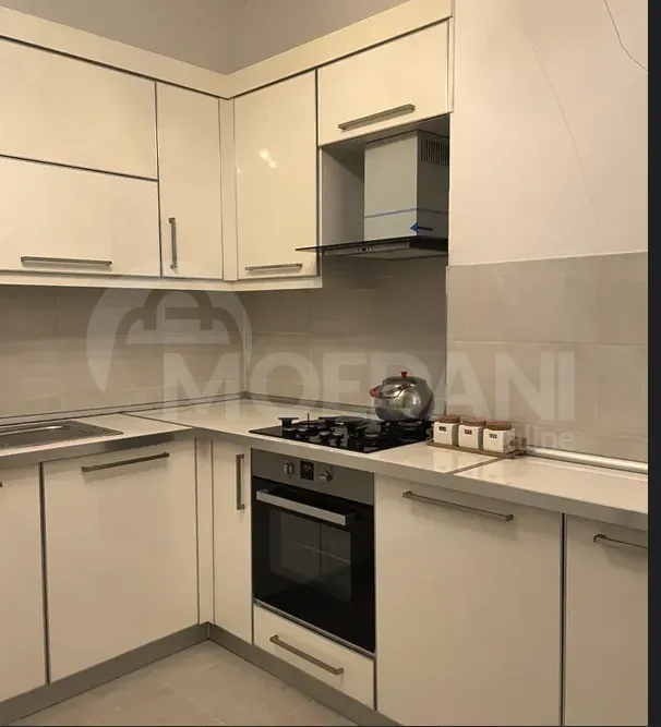 Apartments For Rent two-room 65м² 3/22 floor Tbilisi - photo 4