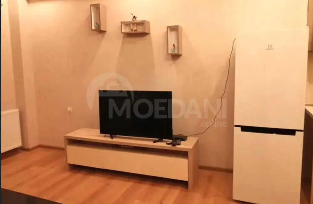 Apartments For Rent two-room 75м² 16/19 floor Tbilisi - photo 7