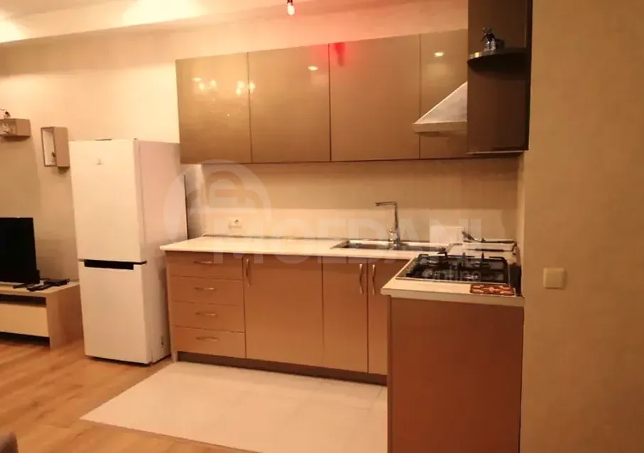 Apartments For Rent two-room 75м² 16/19 floor Tbilisi - photo 2