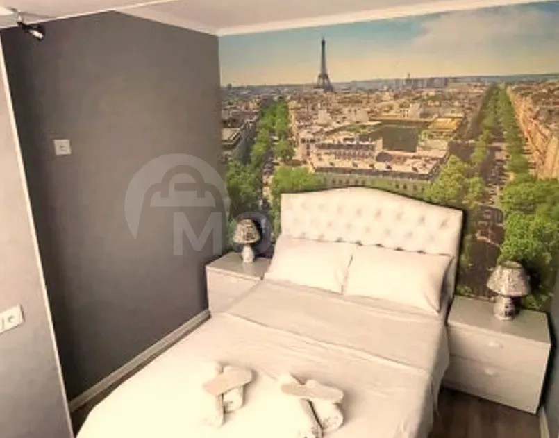 Short Term Rentals two-room 40m² 7/8 floor Kutaisi - photo 6