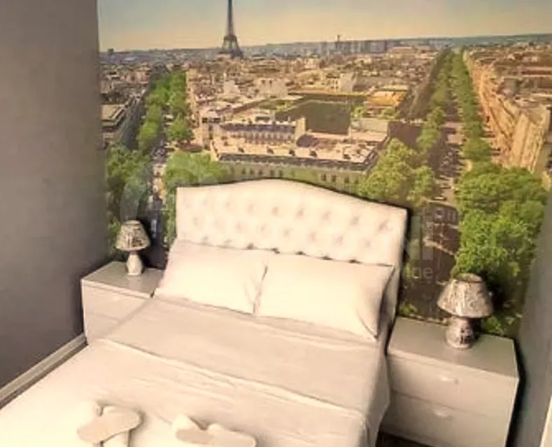 Short Term Rentals two-room 40m² 7/8 floor Kutaisi - photo 4