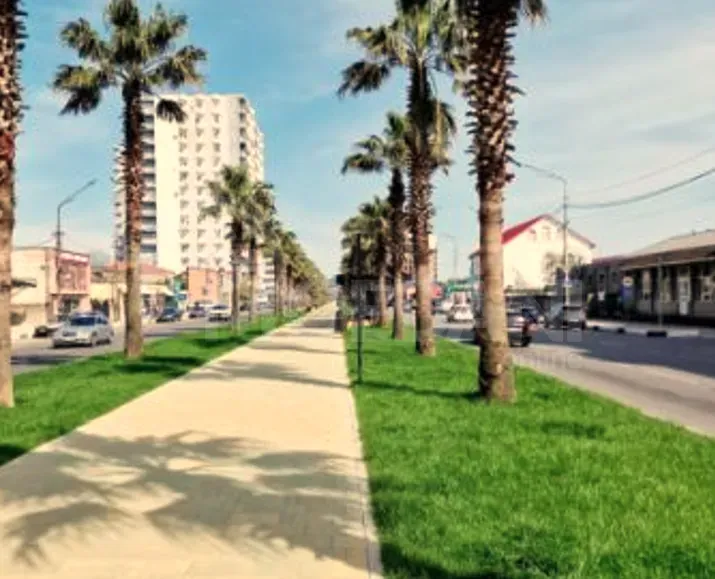 Short Term Rentals two-room 50m² 9/14 floor Kutaisi - photo 9