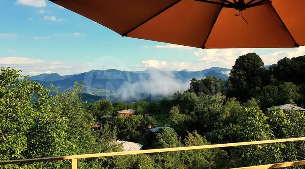 აგარაკი 570м² ქუთაისი - photo 12