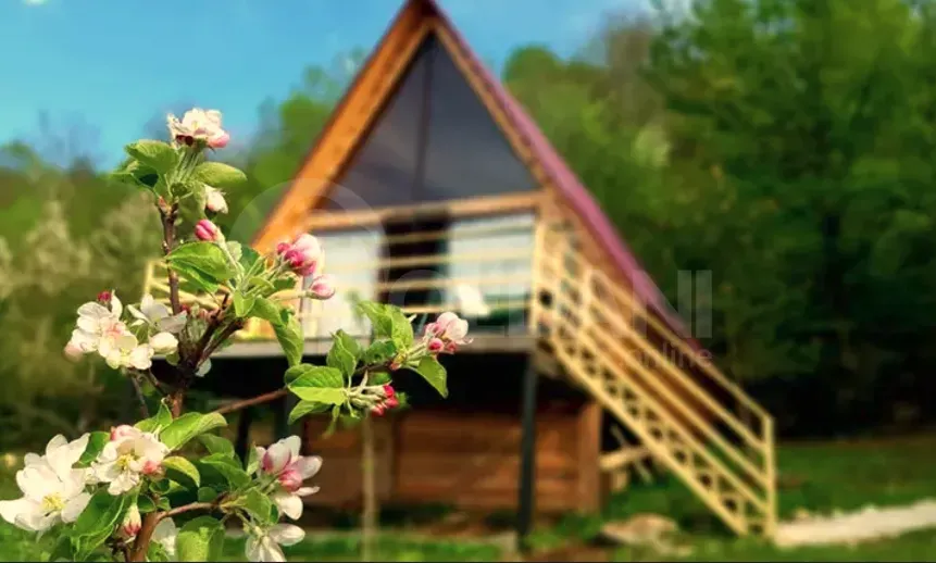 აგარაკი 570м² ქუთაისი - photo 9