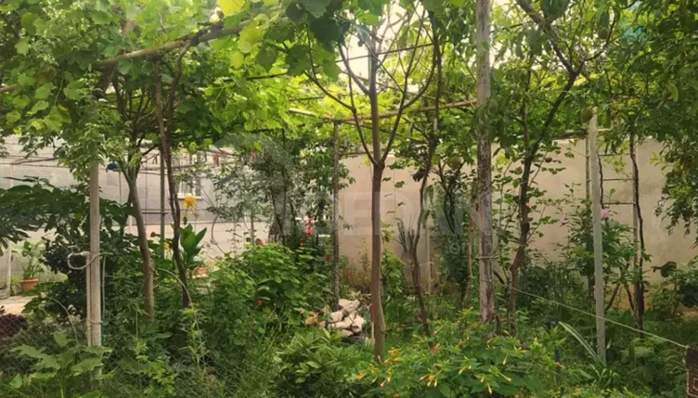 Продам Дом 450м² Кутаиси - изображение 4