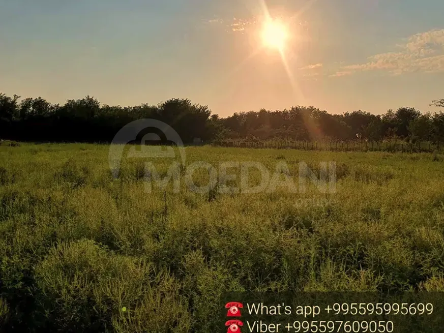 Продам земельный участок 3770м² Кутаиси - изображение 1