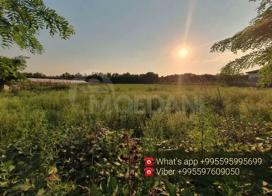 Продам земельный участок 3770м² Кутаиси - изображение 2