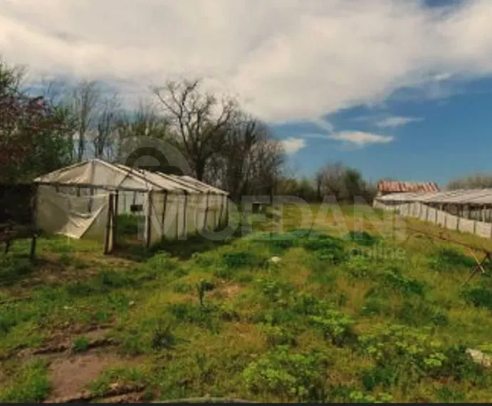 House for sale 6550м² Kutaisi - photo 8