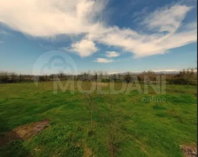 House for sale 6550м² Kutaisi - photo 6