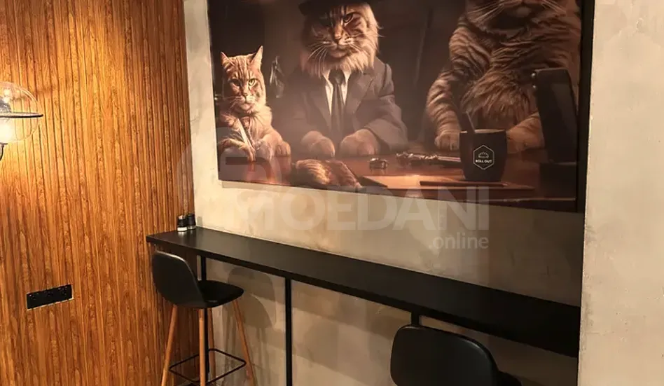 Universal commercial space for rent in Vake Tbilisi - photo 4