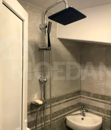 Apartments For Rent one-room 25м² 1/2 floor Tbilisi - photo 10