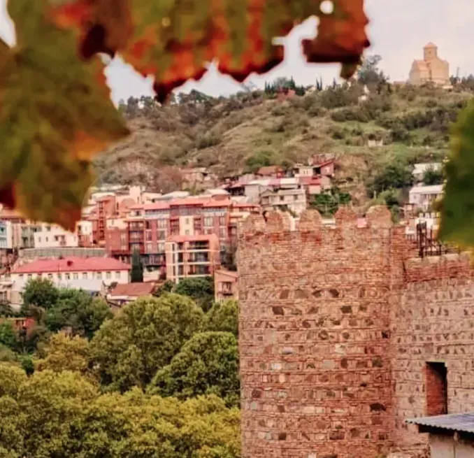 Сдам 1-комн. квартиру 40м² 2/2 эт. Тбилиси - изображение 12