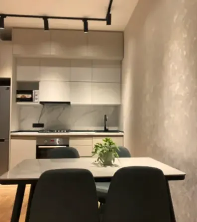 Apartments For Rent two-room 50м² 4/19 floor Tbilisi