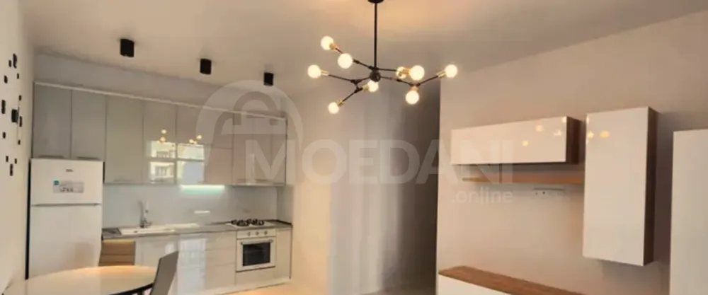 ქირავდება 2 ოთახიანი ბინა 55მ² 11/20 სართ თბილისი - photo 10