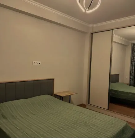 Apartments For Rent two-room 55м² 16/24 floor Tbilisi