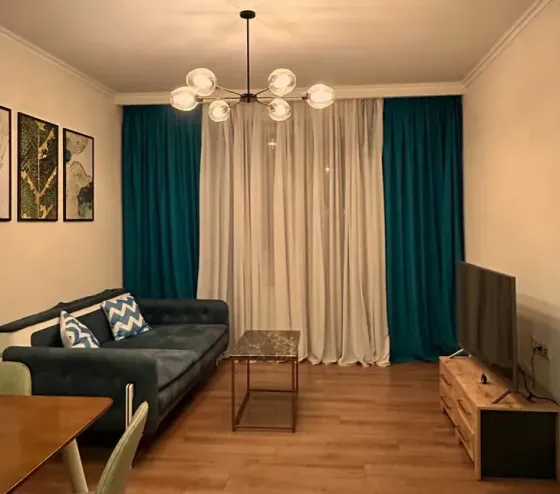 Apartments For Rent two-room 55м² 16/24 floor Tbilisi
