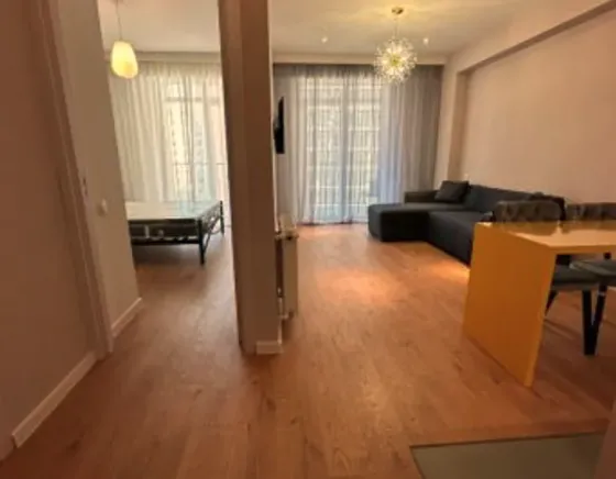 ქირავდება 2 ოთახიანი ბინა 60მ² 7/17 სართ თბილისი