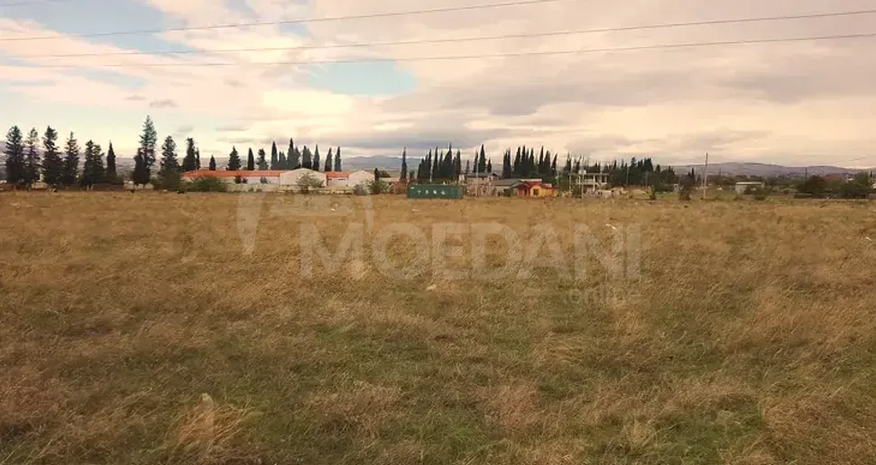 Продам земельный участок 1500м² Тбилиси - изображение 3