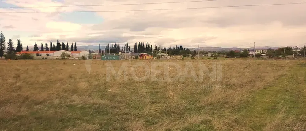 Продам земельный участок 1500м² Тбилиси - изображение 5