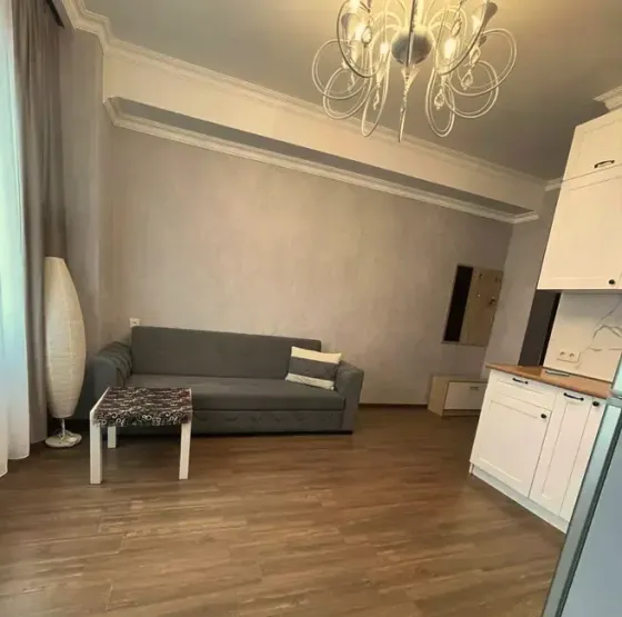 ქირავდება 2 ოთახიანი ბინა 45მ² 4/12 სართ თბილისი