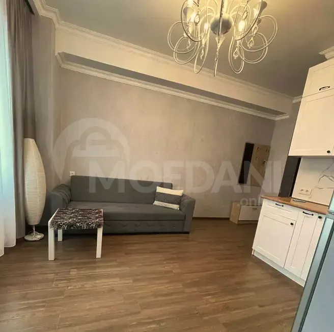 ქირავდება 2 ოთახიანი ბინა 45მ² 4/12 სართ თბილისი - photo 2