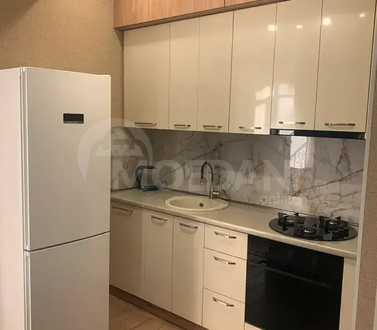 Apartments For Rent two-room 60м² 7/14 floor Tbilisi - photo 8