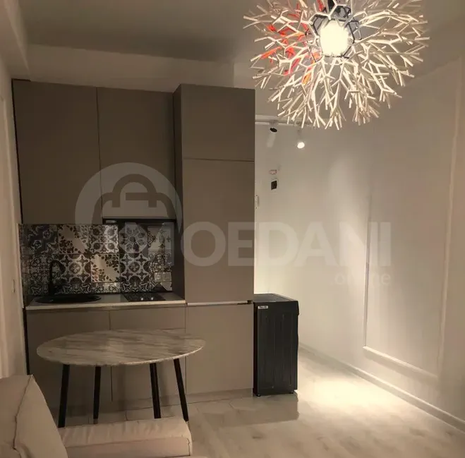 Apartments For Rent one-room 27м² 13/14 floor Tbilisi - photo 3