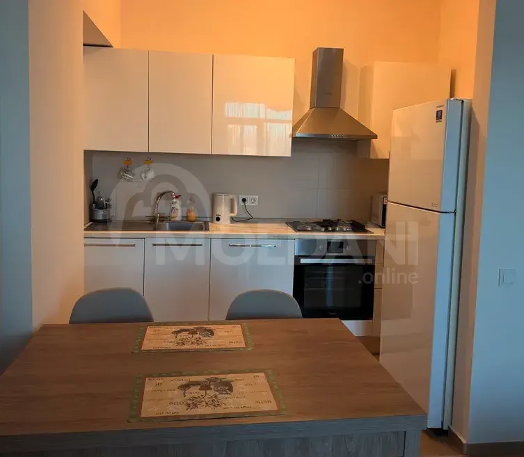 Apartments For Rent two-room 60м² 8/16 floor Tbilisi - photo 3