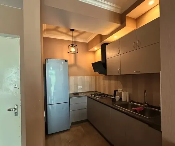 Apartments For Rent two-room 65м² 12/17 floor Tbilisi