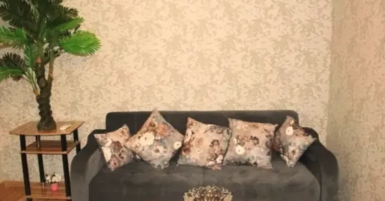 ქირავდება 2 ოთახიანი ბინა 40მ² 1/2 სართ თბილისი