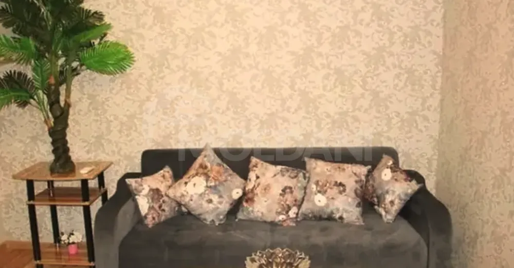 ქირავდება 2 ოთახიანი ბინა 40მ² 1/2 სართ თბილისი - photo 2