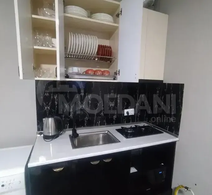 Apartments For Rent two-room 40м² 12/18 floor Tbilisi - photo 5
