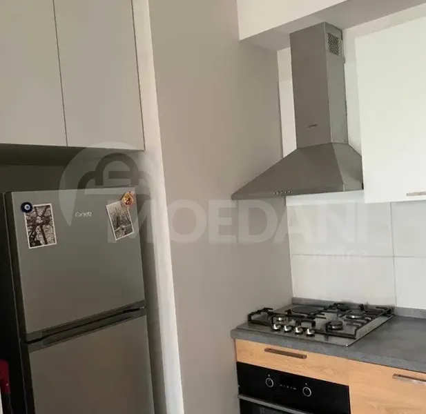 Apartments For Rent two-room 50м² 7/11 floor Tbilisi - photo 2