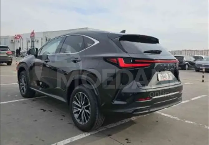 Lexus NX 2024 Tbilisi - photo 6