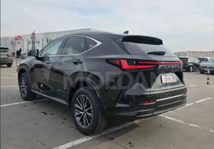 Lexus NX 2024 Тбилиси - изображение 6