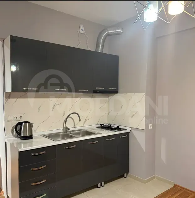 Apartments For Rent two-room 50м² 5/12 floor Tbilisi - photo 8