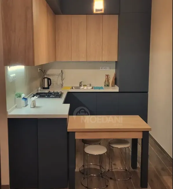 ქირავდება 2 ოთახიანი ბინა 45მ² 4/10 სართ თბილისი - photo 1