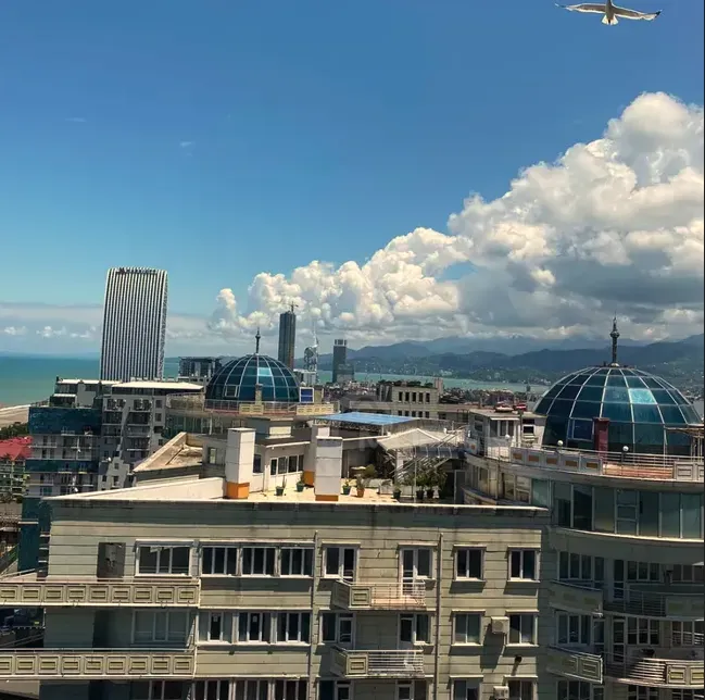 Продам 1-комн. квартиру 30м² 24/25 эт. Батуми - изображение 11