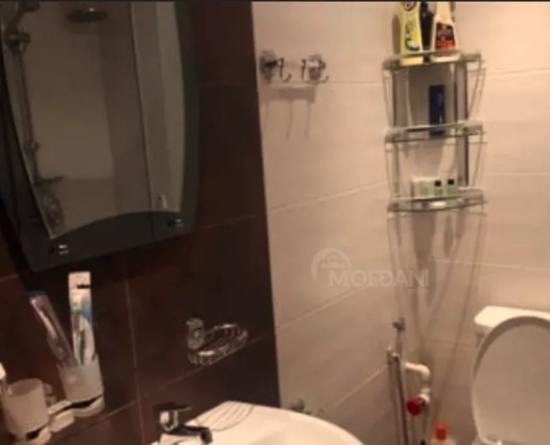 Сдам 2-комн. квартиру на сутки в Тбилиси  60м² 8/12 эт. Тбилиси - изображение 8