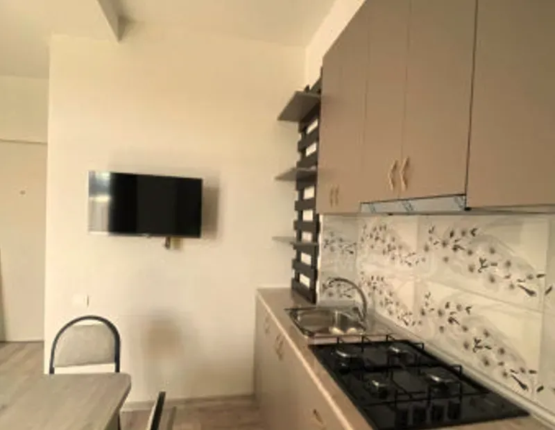 ქირავდება 2 ოთახიანი ბინა 45მ² 5/9 სართ თბილისი - photo 2