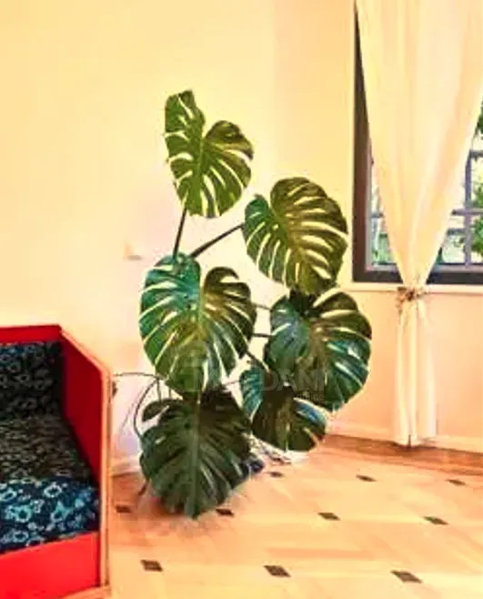 Сдам 2-комн. квартиру 80м² 1/5 эт. Тбилиси - изображение 10