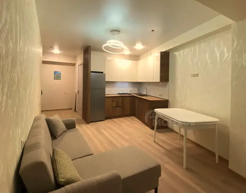 Apartments For Rent two-room 60м² 15/17 floor Tbilisi - photo 3