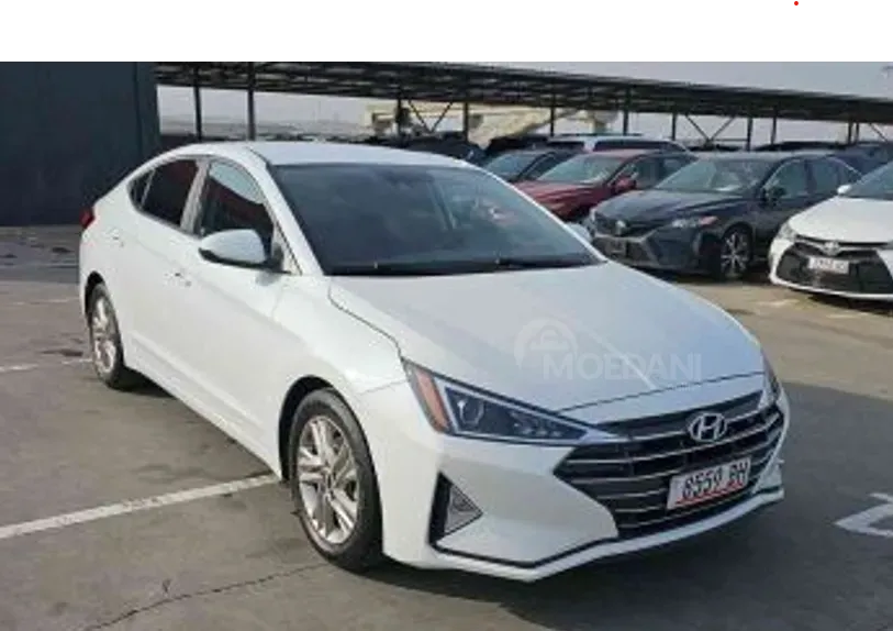Hyundai Elantra 2019 Tbilisi - photo 3