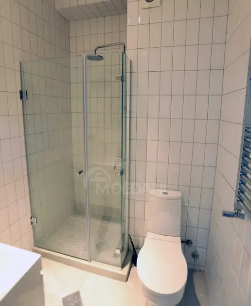 ქირავდება 2 ოთახიანი ბინა 55მ² 9/9 სართ თბილისი - photo 10