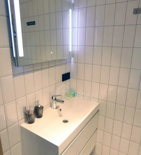 ქირავდება 2 ოთახიანი ბინა 55მ² 9/9 სართ თბილისი - photo 8