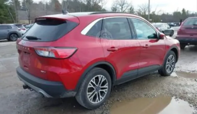 Ford Escape 2020 თბილისი - photo 4