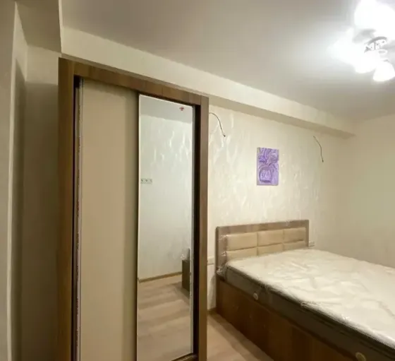 Apartments For Rent two-room 60м² 15/17 floor Tbilisi